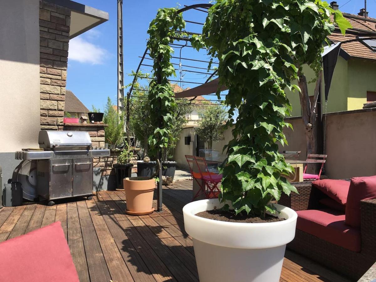 Le Pied A Terre Selestadien Sélestat Esterno foto